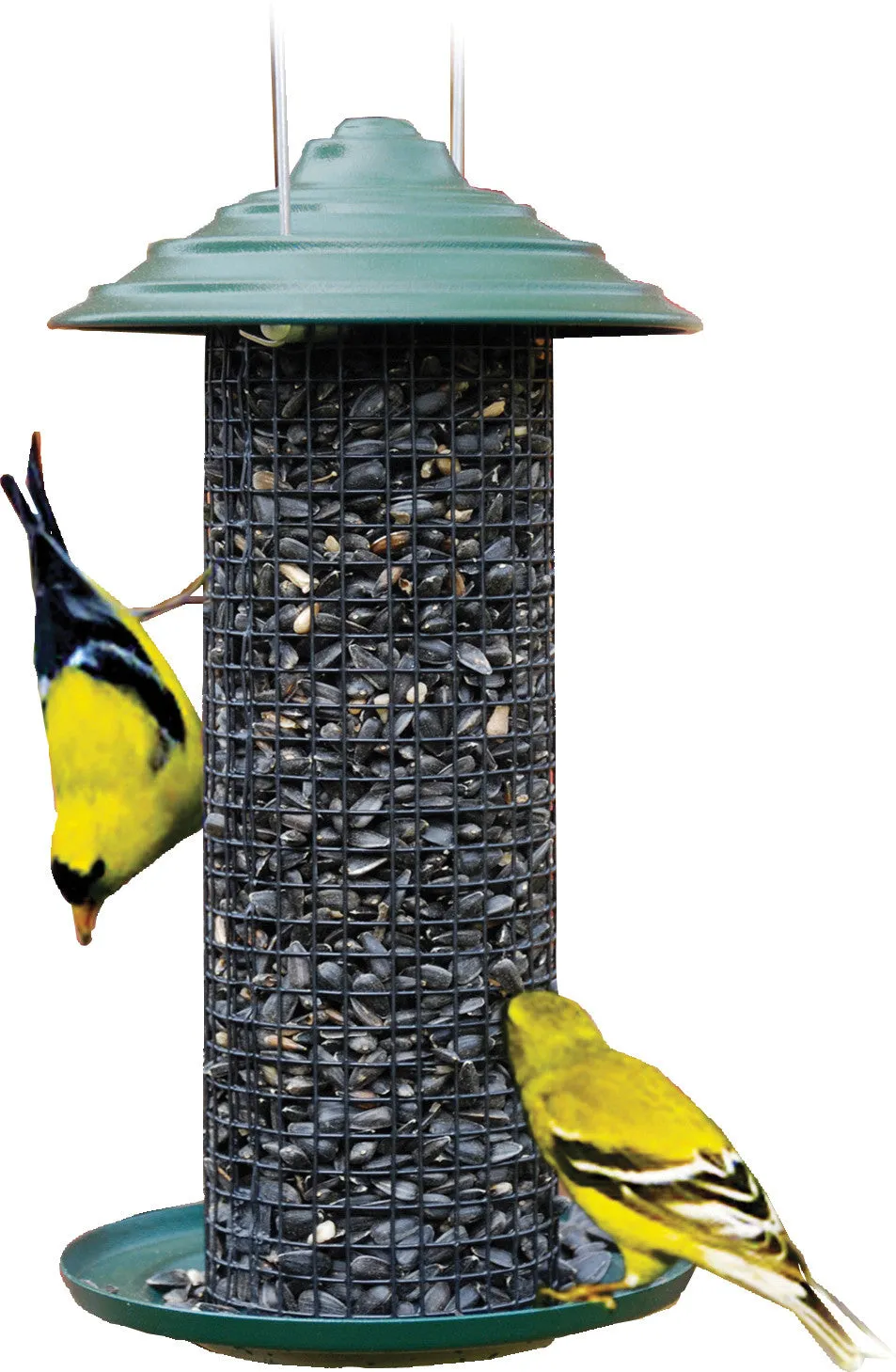 Audubon/woodlink - Mini Magnum Black Oil Sunflower Feeder