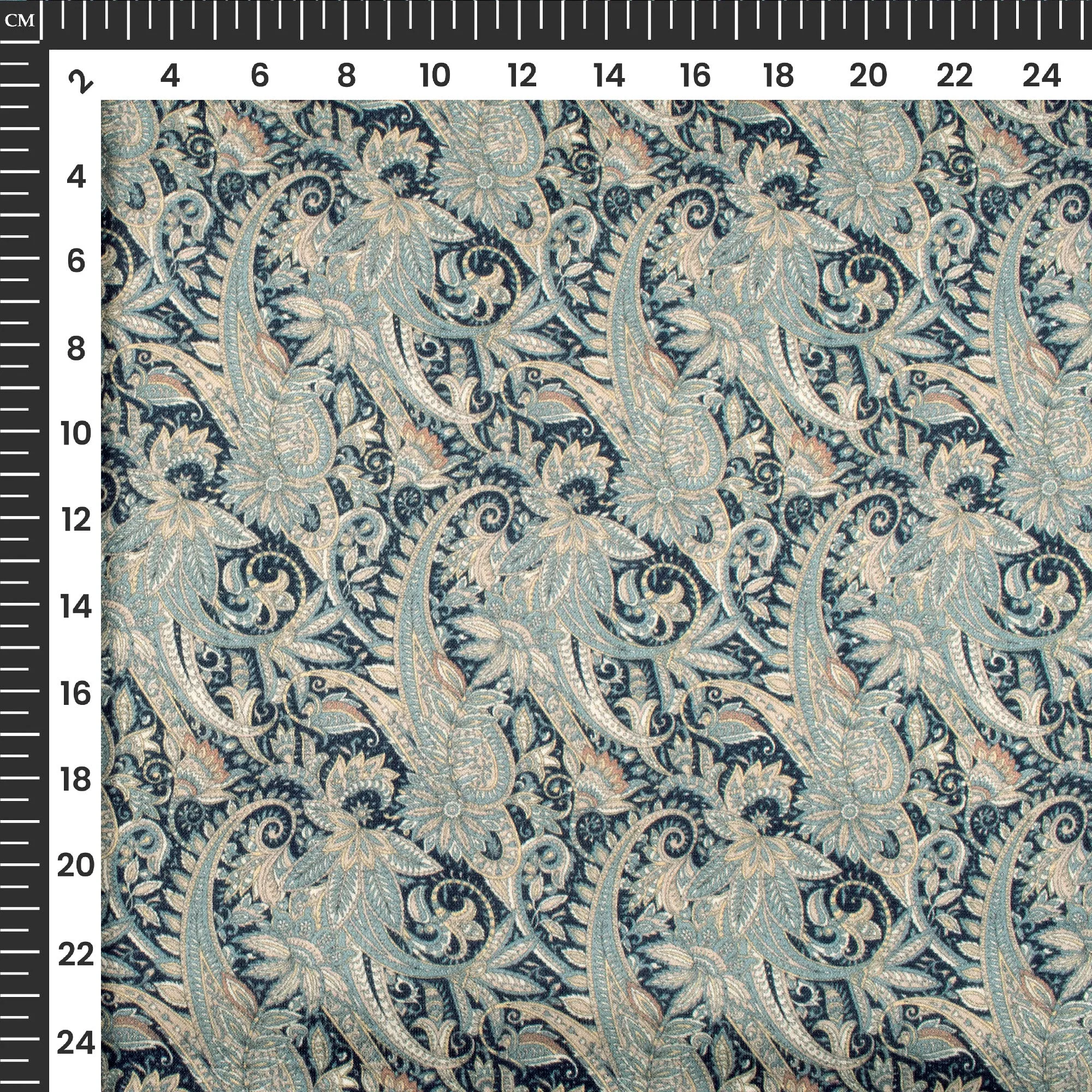 Beautiful Paisley Digital Print Viscose Gaji Silk Fabric