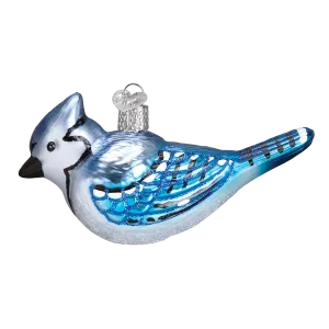 Bright Blue Jay